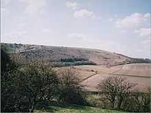 Photograph of Watership Down