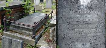 A granite, horizontal gravestone fenced by metal railings, among other graves in a cemetery