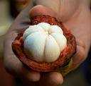 XanGo Mangosteen Fruit.jpg