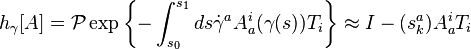 h_\gamma [A] = \mathcal{P} \exp \left\{ - \int_{s_0}^{s_1} ds \dot{\gamma}^a A_a^i (\gamma (s)) T_i \right\} \approx I - (s_k^a) A_a^i T_i