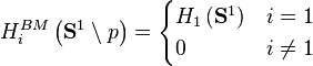 H^{BM}_i \left (\mathbf{S}^1 \setminus p \right ) = \begin{cases} H_1\left (\mathbf{S}^1\right )  & i = 1 \\ 0 & i \neq 1 \end{cases}