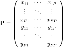 
\mathbf{P}= \left( 
\begin{array}{ccc} 
      x_{11} & \cdots & x_{1P} \\
      \vdots & \ddots & \vdots \\
      x_{F1} & \cdots & x_{FP} \\
      y_{11} & \cdots & y_{1P} \\ 
      \vdots & \ddots & \vdots \\
      y_{F1} & \cdots & y_{FP} \\
\end{array}
\right)
