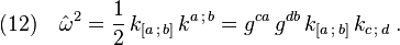 (12)\quad {\hat\omega}^2  =\frac{1}{2}\,k_{[a\,;\,b]}\,k^{a\,;\,b} =g^{ca}\,g^{db}\,k_{[a\,;\,b]}\,k_{c\,;\,d}\;.