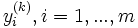 y_i^{(k)}, i=1,...,m