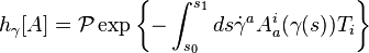 h_\gamma [A] = \mathcal{P} \exp \left\{ - \int_{s_0}^{s_1} ds \dot{\gamma}^a A_a^i (\gamma (s)) T_i \right\}