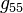 g_{55}