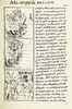 The Florentine Codex- Battle.tif