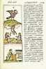 The Florentine Codex- Life in Mesoamerica II.tiff