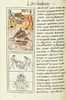 The Florentine Codex- Moctezuma's Death and Cremation.tif