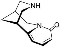 Skeletal formula of cytisine