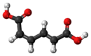  Ball-and-stick model of the cis,trans-muconic acid molecule