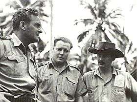 Informal half portrait of three men in military uniforms, with palm trees in the background