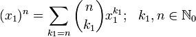 (x_1)^n = \sum_{k_1=n} {n \choose k_1} x_1^{k_1};\ \ k_1, n \in \mathbb{N}_0