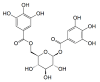 Chemical structure of 1,6-digalloyl glucose.