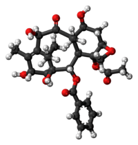 10-Deacetylbaccatin III molecule