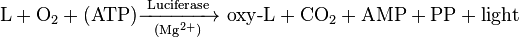 \mathrm{L + O_2 + (ATP) \xrightarrow [(Mg^{2+})]{Luciferase} \ oxy\text{-}L + CO_2 + AMP + PP + light}