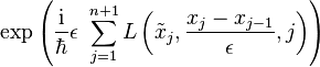 \exp\left (\frac{{\rm i}}{\hbar}\epsilon\, \,\sum_{j=1}^{n+1} L \left (\tilde x_{j},\frac{x_j-x_{j-1}}{\epsilon},j \right )\right )