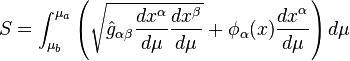 S=\int^{\mu_a}_{\mu_b}\left(\sqrt{\hat{g}_{\alpha\beta} \frac{dx^{\alpha}}{d\mu} \frac{dx^{\beta}}{d\mu}}+\phi_{\alpha}(x)\frac{dx^{\alpha}}{d\mu} \right)d\mu