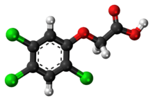 Ball-and-stick model of 2,4,5-T