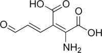 Skeletal formula of 2-amino-3-carboxymuconic semialdehyde