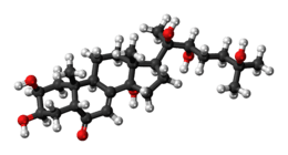 Ball-and-stick model of the 20-hydroxyecdysone molecule