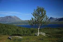 2014-08-02 Nordkalottleden, Sweden 6387.jpg