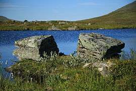 2014-08-02 Nordkalottleden, Sweden 6431.jpg