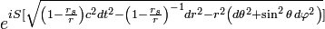 \,e^{iS[\sqrt{\left(1 - \frac{r_s}{r} \right) c^2 dt^2 - \left(1-\frac{r_s}{r}\right)^{-1} dr^2 - r^2 \left(d\theta^2 + \sin^2\theta \, d\varphi^2\right)}]}