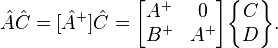 
\hat{A}\hat{C} = [\hat{A}^+]\hat{C} = \begin{bmatrix} A^+ & 0 \\ B^+ & A^+ \end{bmatrix}\begin{Bmatrix} C \\ D\end{Bmatrix}.
