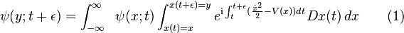 
\psi(y;t+\epsilon) = \int_{-\infty}^\infty \;\;\psi(x;t)\int_{x(t)=x}^{x(t+\epsilon)=y} e^{{\rm i}\int_t^{t+\epsilon} (\frac{\dot{x}^2}{2} - V(x)) dt} Dx(t) \, dx
\qquad (1)