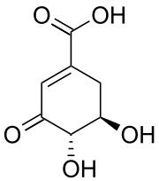 Chemical structure of 3-dehydroshikimic acid.