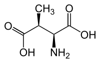 L-threo-3-methylaspartate