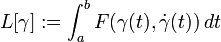 L[\gamma]:=\int_a^b F(\gamma(t),\dot{\gamma}(t))\, dt