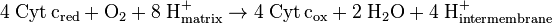 \rm 4\; Cyt\,c_{red} + O_{2} + 8\; H^+_{matrix} \rightarrow 4\; Cyt\,c_{ox} + 2\; H_2O + 4\; H^+_{intermembrane} \! 