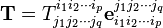 \mathbf{T} = T_{j_1 j_2 \cdots j_q}^{i_1 i_2 \cdots i_p} \mathbf{e}_{i_1 i_2 \cdots i_p}^{j_1 j_2 \cdots j_q} 