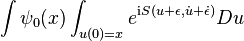 
\int \psi_0(x) \int_{u(0)=x} e^{{\rm i}S(u+\epsilon,\dot{u}+\dot{\epsilon})} Du
\,