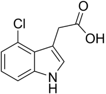 Skeletal formula of 4-chloroindole-3-acetic acid