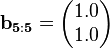 
\mathbf{b_{5:5}} = \begin{pmatrix}  1.0 \\ 1.0\end{pmatrix}
