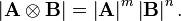  \left| \mathbf{A} \otimes \mathbf{B} \right| = \left| \mathbf{A} \right| ^m \left| \mathbf{B} \right| ^n .