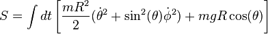 S=\int dt \left[\frac{mR^2}{2}(\dot{\theta}^2+\sin^2(\theta)\dot{\phi}^2)+mgR\cos(\theta)\right]