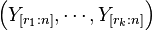 \left(Y_{[r_1:n]}, \cdots, Y_{[r_k:n]} \right)