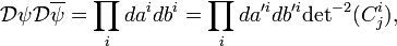 \mathcal{D}\psi\mathcal{D}\overline{\psi} = \prod\limits_i da^i db^i = \prod\limits_i da^{\prime i}db^{\prime i}{\det}^{-2}(C^i_j),