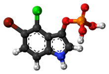 Ball-and-stick model of the BCIP molecule