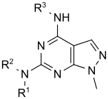 Pyrazolo[3,4-d]pyrimidine core