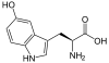 Skeletal formula