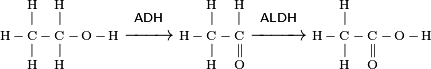 \begin{smallmatrix}
             &\text{H}&     &\text{H}&                          &                    &             &\text{H}&     &\text{H}&                      &             &\text{H}&     &        &                          \\
             &      | &     &      | &                          &\mathsf{ADH}        &             &      | &     &      | &\mathsf{ALDH}         &             &      | &     &        &                          \\
\text{H}\,-\!&\text{C}&\!-\!&\text{C}&\!-\,\text{O}\,-\,\text{H}&\xrightarrow{\qquad}&\text{H}\,-\!&\text{C}&\!-\!&\text{C}&\xrightarrow{\qquad\ }&\text{H}\,-\!&\text{C}&\!-\!&\text{C}&\!-\,\text{O}\,-\,\text{H}\\ 
             &      | &     &      | &                          &                    &             &      | &     &     \| &                      &             &      | &     &     \| &                          \\
             &\text{H}&     &\text{H}&                          &                    &             &\text{H}&     &\text{O}&                      &             &\text{H}&     &\text{O}&                          \\
\end{smallmatrix}