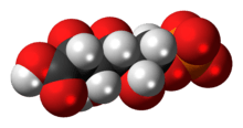 Space-filling model of the 6-phosphogluconic acid anion