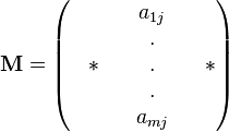 \mathbf{M}=\begin{pmatrix} & & & a_{1j} & &\\  & & &.& &\\  & *& &.& & *\\  & & &.& & \\   & & &a_{mj}& &\end{pmatrix}