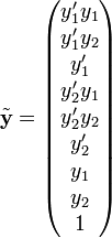  \tilde{\mathbf{y}} = \begin{pmatrix} y'_1 y_1 \\ y'_1 y_2 \\ y'_1 \\ y'_2 y_1 \\ y'_2 y_2 \\ y'_2 \\ y_1 \\ y_2 \\ 1 \end{pmatrix} 