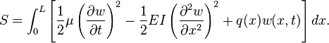  
  S = \int_0^L \left[ \frac{1}{2} \mu \left( \frac{\partial w}{\partial t} \right)^2 - \frac{1}{2} EI \left( \frac{ \partial^2 w}{\partial x^2} \right)^2 + q(x) w(x,t)\right] dx.
